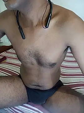 SL-Robinsan webcam