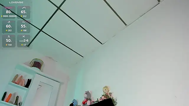 Lisvandr webcam