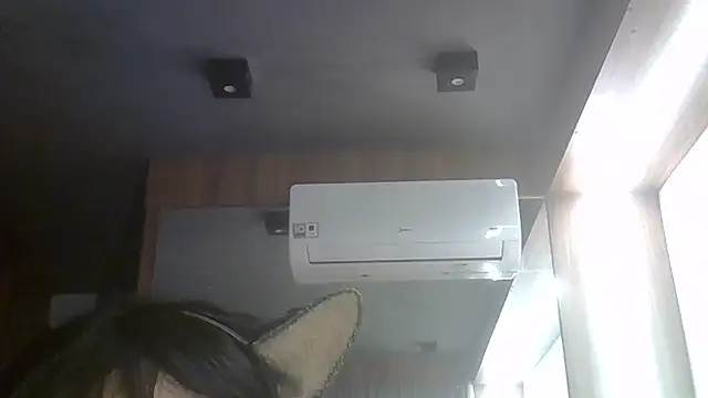 SkinnyKitten webcam