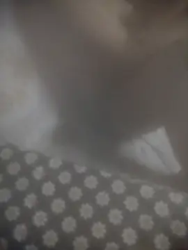 8414033011_wpp webcam
