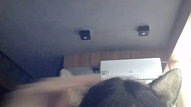 SkinnyKitten webcam