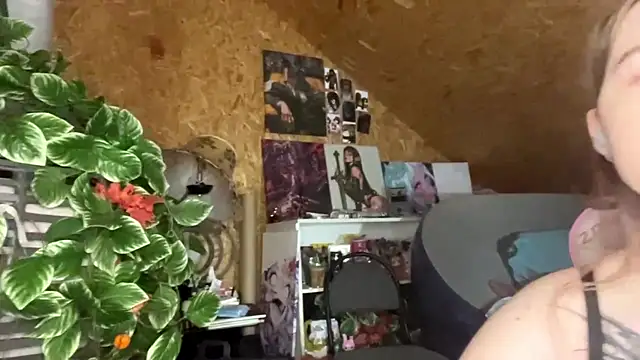 HeidiTian webcam