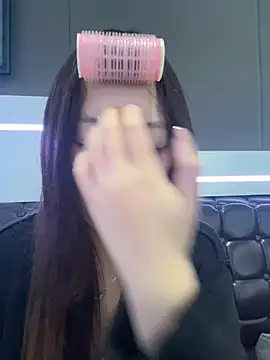 YY-1-1-1 webcam