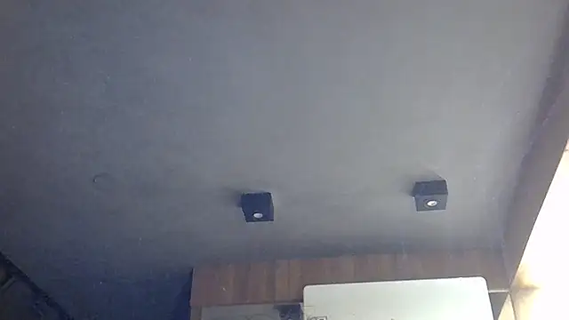 SkinnyKitten webcam