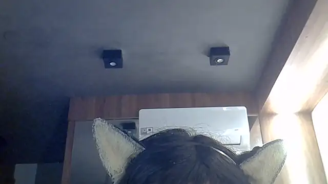 SkinnyKitten webcam