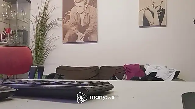 der_dino30 webcam