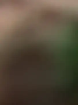 Kendall__evanss webcam