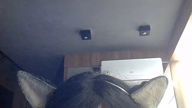 SkinnyKitten webcam