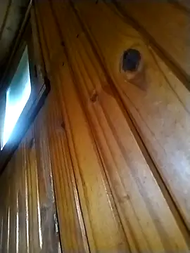 4pulgadas webcam
