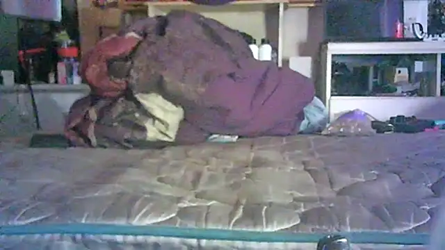 CR3M3_FIR3 webcam
