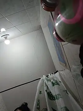 Ann_Houston_ webcam