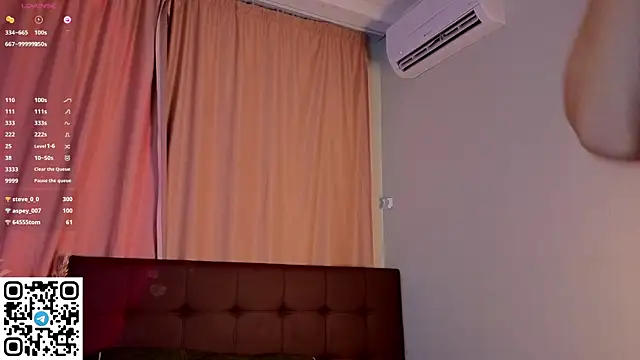 NerixalVire webcam