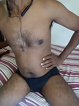 SL-Robinsan webcam