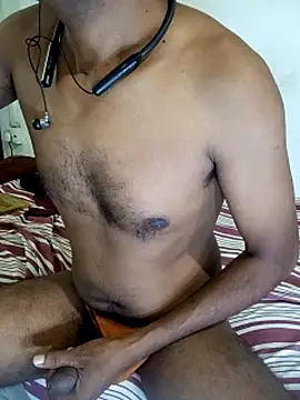SL-Robinsan webcam