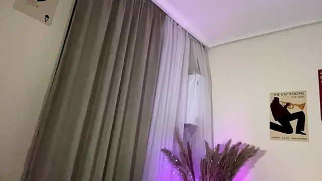 ParsedFix webcam