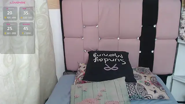 palmer_mIix webcam