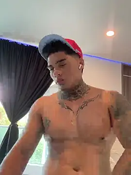 Dominiofit webcam