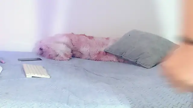annyevans_1 webcam