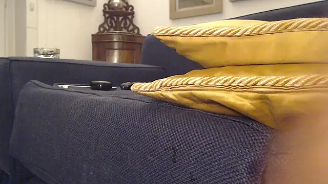 XanaX2015 webcam