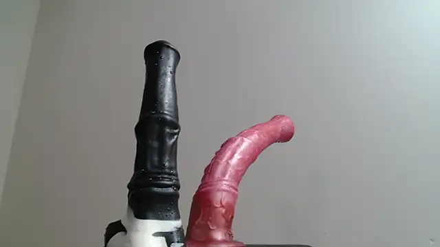 Full_Fist webcam