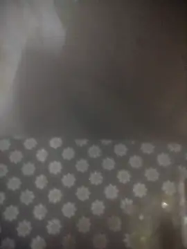 8414033011_wpp webcam