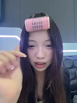 YY-1-1-1 webcam