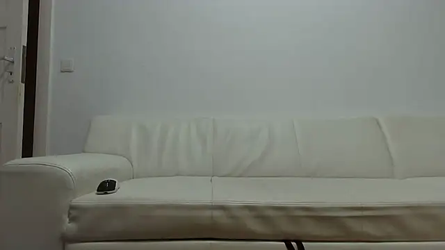 fit_ass_2021 webcam