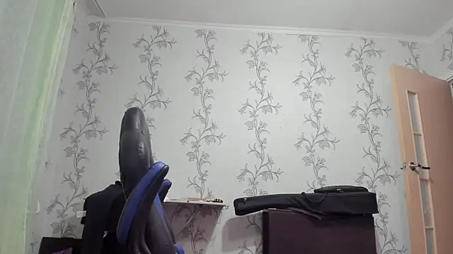 SanFrantsisko webcam