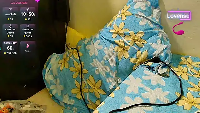 SilverShade3 webcam