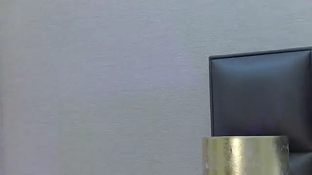 FoxyJoy webcam
