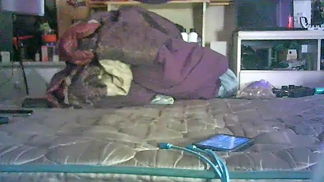 CR3M3_FIR3 webcam