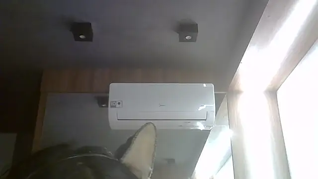 SkinnyKitten webcam