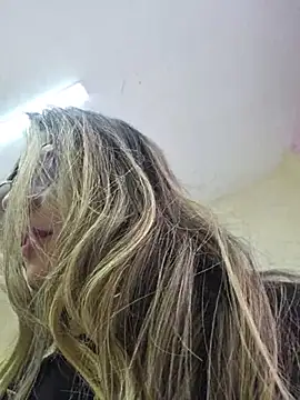 CelesteBlaze_ webcam