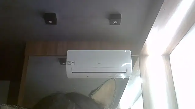 SkinnyKitten webcam