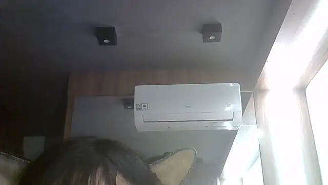 SkinnyKitten webcam