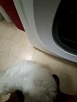 diavo72 webcam