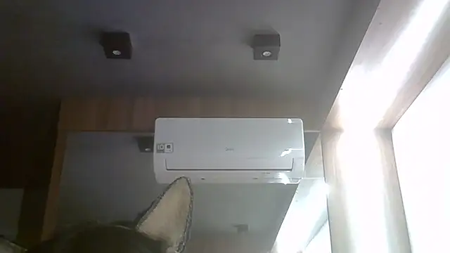 SkinnyKitten webcam