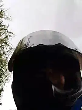 LUNAGREEN_1 webcam
