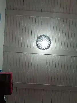 Ann_Houston_ webcam