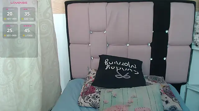 palmer_mIix webcam