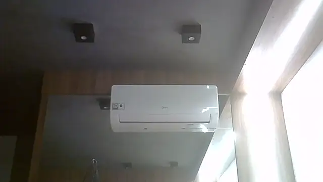 SkinnyKitten webcam