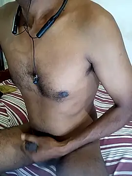SL-Robinsan webcam