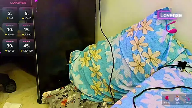 SilverShade3 webcam