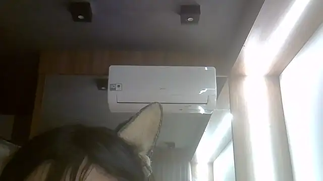 SkinnyKitten webcam