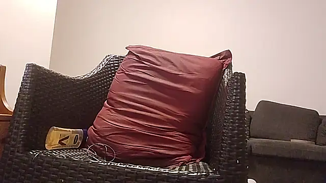 Tyyson03 webcam