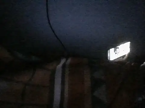DecoyedMembrne webcam