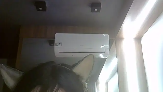 SkinnyKitten webcam
