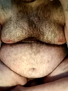 big__bearrr webcam