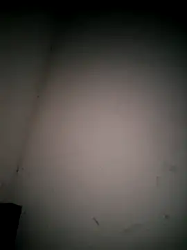 achira0443 webcam
