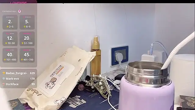 EE-01 webcam